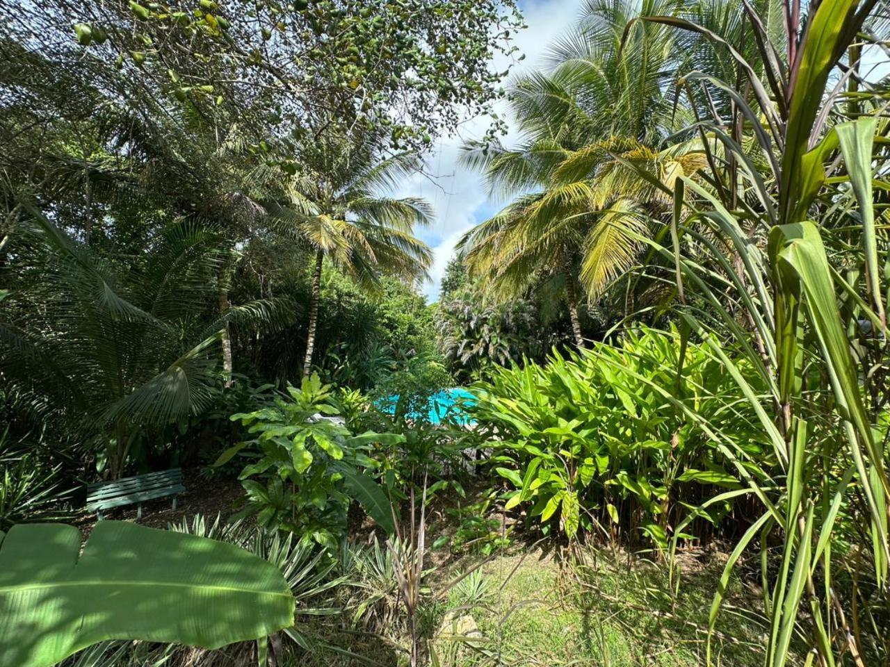 Gwada Reves Villa Sainte-Anne  Dış mekan fotoğraf