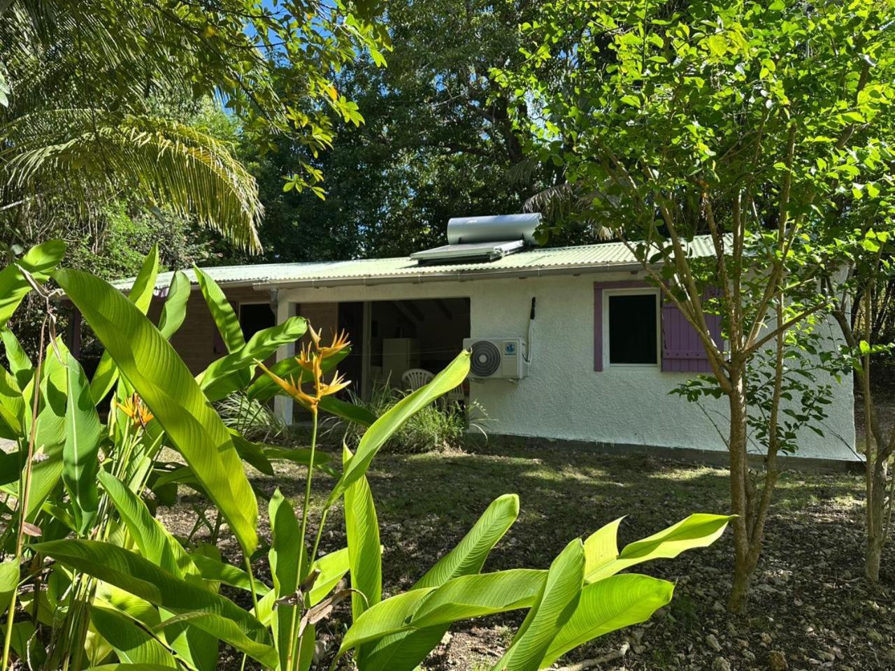 Gwada Reves Villa Sainte-Anne  Dış mekan fotoğraf