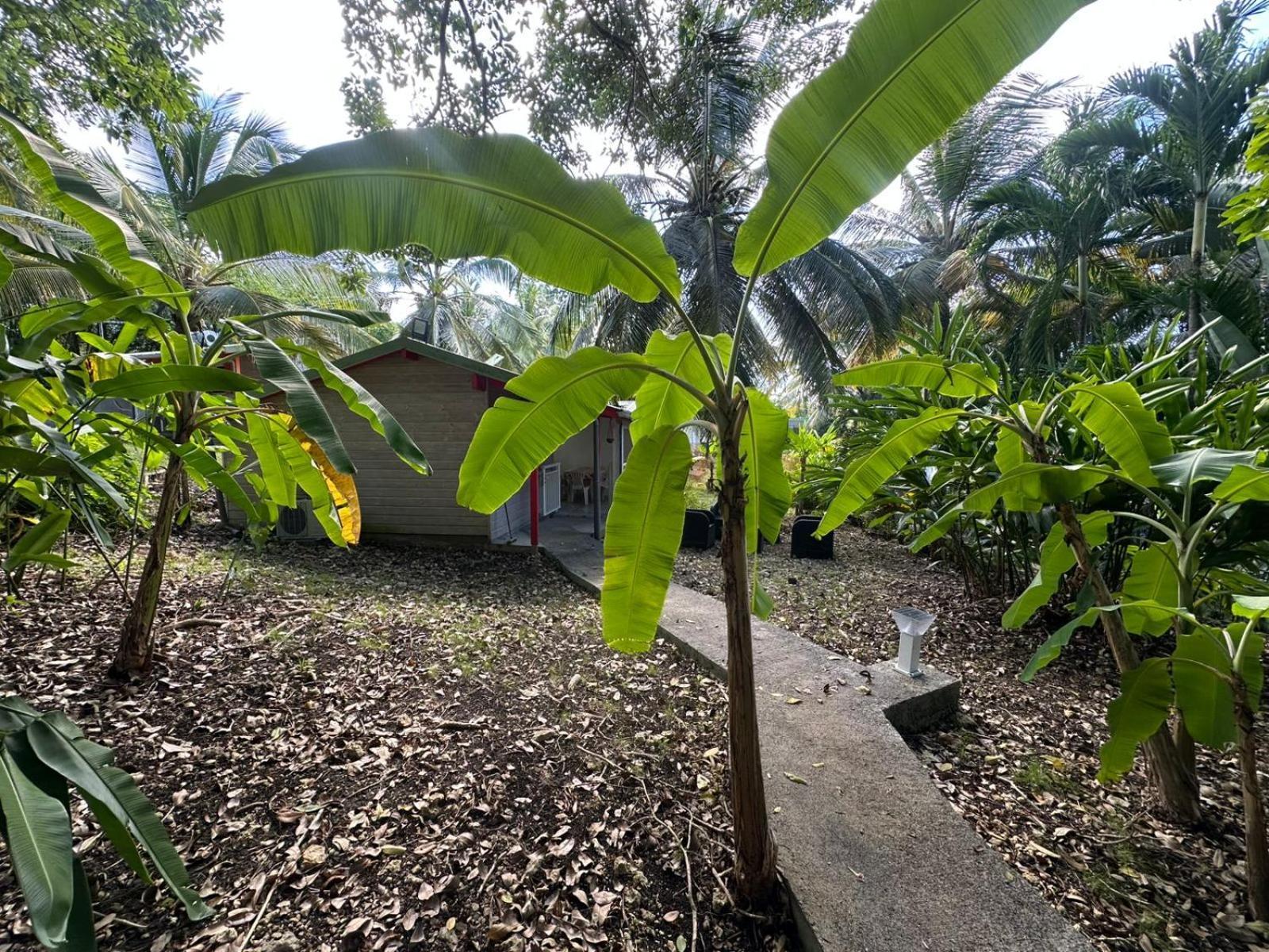 Gwada Reves Villa Sainte-Anne  Dış mekan fotoğraf